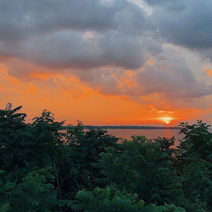 Meet your Posher, Poppy